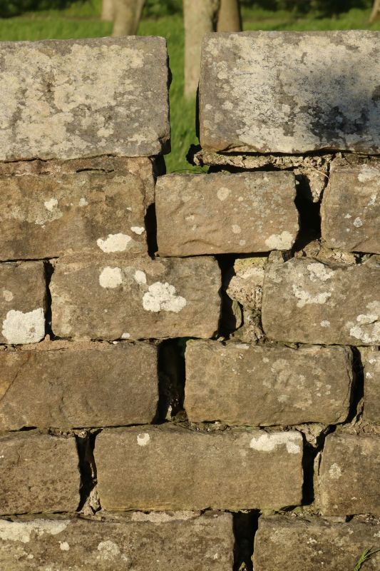Stone Wall Repair in Hartselle, AL